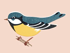 Images Dated 22nd April 2015: Bird