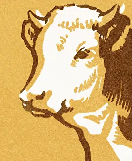Images Dated 11th November 2010: Bull
