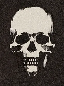 Images Dated 13th October 2003: Skull