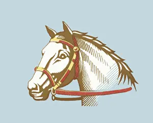 Illustration And Paintin Prints: Horse