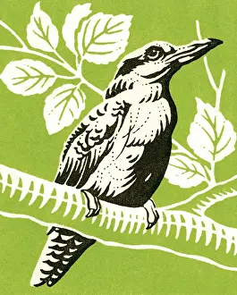 Illustra Prints: Bird