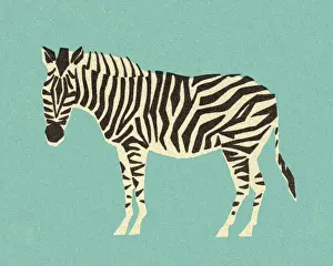 Illustration And Paint Prints: Zebra