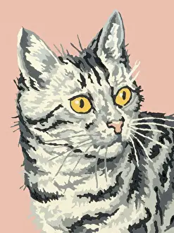 Ilust Prints: Cat