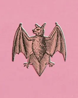 Facial Expressio Prints: Bat