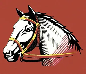 Illustration And Pai Prints: Horse