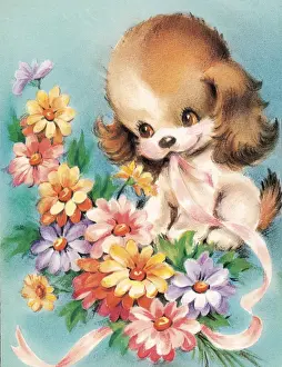 Puppy