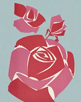 Three Objects Prints: Roses