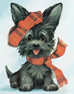 Terrier Prints: Puppy