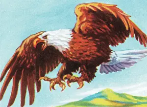 Natur Prints: Eagle