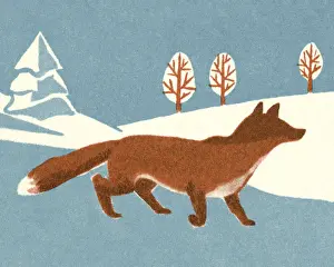 Conspiracy Prints: Fox
