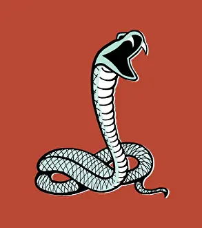 Mascot Prints: Snake
