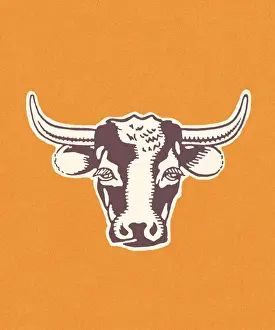 Bull