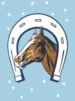 Illustration And Pa Prints: Horse