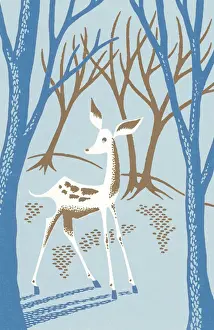 Fawn Prints: Deer
