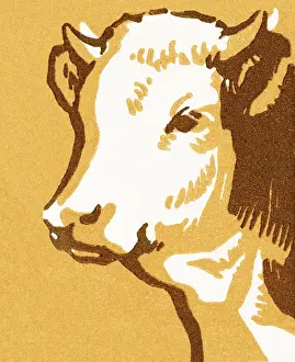 Illustra Prints: Bull