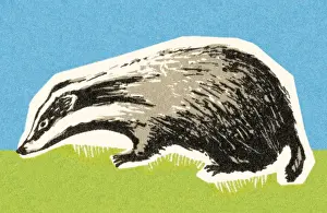 Badger Prints: Skunk