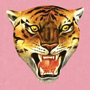 Mascot Prints: Tiger