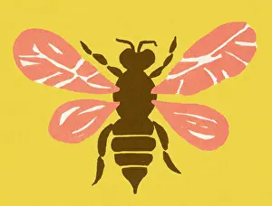 Wasp