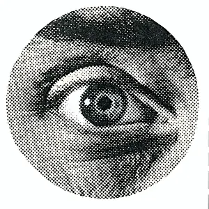 Cornea Prints: Eye