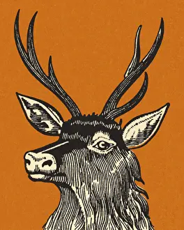 Antler Prints: Elk