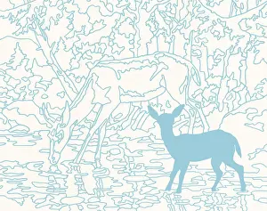 Fawn Prints: Deer