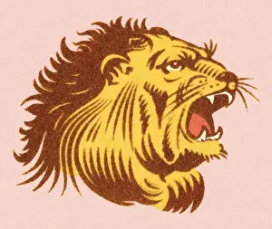 Cruel Prints: Lion