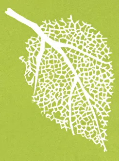 Single O Prints: Leaf