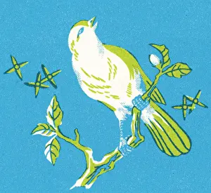 Natur Prints: Bird