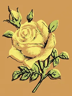 Garden Variety Prints: Rose