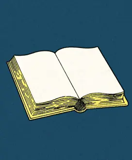 Illustration And Pain Prints: Book