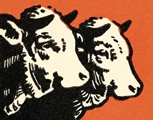 Red Background Prints: Steer