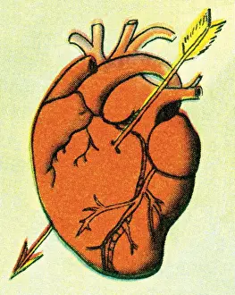 Cupid Prints: Heart