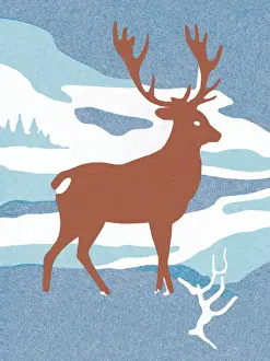 Stag Prints: Deer