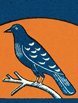 Red Background Prints: Bird