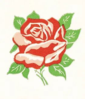 Scent Prints: Rose