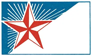 Mascot Prints: Star