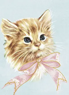 Fluffy Prints: Cat