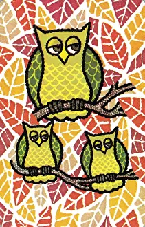 Wisdom Prints: Owls
