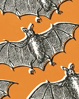 Facial Expressio Prints: Bats