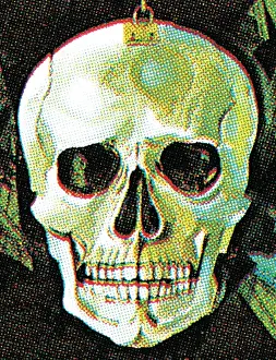 Illustration A Prints: Skull