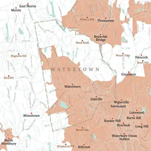 CT Litchfield Watertown Vector Road Map
