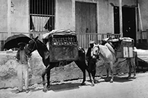 Cuban Pedlars
