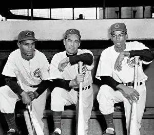 Shortstop Prints: Cubs Manager Posing With Two Players