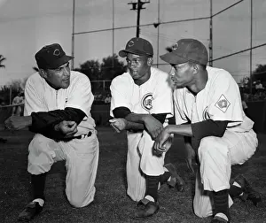 Cubs Manager Talking With Players
