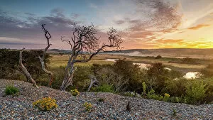 Captivating Global Landscape Vistas by George Johnson: Cuckmere River View