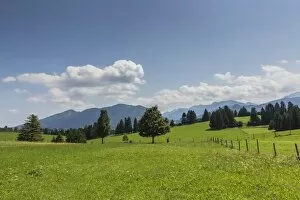 Cultivated landscape, Oberammergau Alps at the back, near Buching, Halblech, Allgau, Ostallgau, Bavaria, Germany