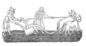 Cropland Prints: Cultivated state in the 12th century