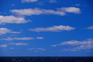 Cumulus clouds scattered over horizon of sky and ocean
