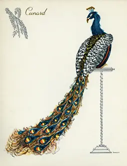 1960 Prints: Cunard
