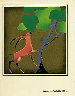 1950 Prints: Cunard White Star